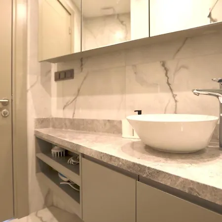Excellent Flat Near Galataport In Cihangir اسطنبول